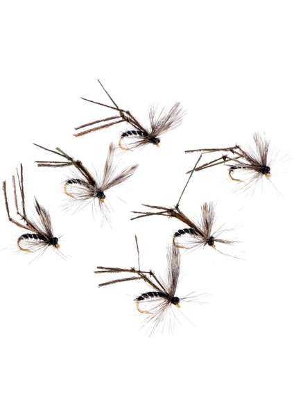 12 Adet Sinek Balıkçılık Kuru Sinekler Bas Alabalık Somon Lures Yem Cibinlik indirimleri