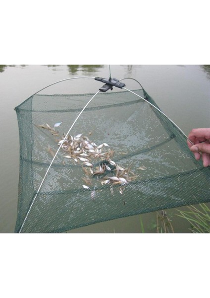 2x Şemsiye Tasarım Tuzak Döküm Lures Balıkçılık Dip Net Yılan Balığı Istakoz Minnows Net