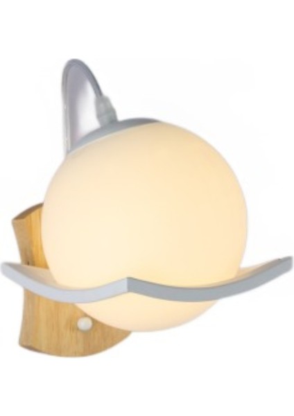 Generic Kapalı Duvar Lambası (Yurt Dışından)