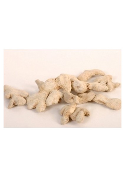 Zencefil Kök 500 gr modelleri
