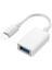 Lightning To USB Kamera Klavye Mouse Dönüştürücü Adaptör 1