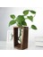 Vintage Hidroponik Bitki Vazo Konteyner Bonsai Saksı Ahşap Ev Dekorasyonu (Yurt Dışından) 5