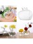 4 Pack Çiçek Vazo Cam Dekoratif Cam Şişeler Düğün Kapalı Dekorasyon (Yurt Dışından) 4
