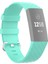 18MM Gümüş Renk Toka Tpu Bilek Kayışı Fitbit Charge 4 / Charge 3 / Charge 3 Se Için Watch Band, Boyut: S 1