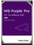 Western Digital 10 TB WD Purple Pro Surveillance Dahili Sabit Disk HDD 1