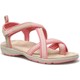  Renk Pembe