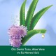 Palmolive Aroma Sensations Feel The Massage Banyo ve Duş Jeli 750 ml x 2 Adet + Duş Lifi Hediye