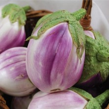 Tohum Dünyam 10 Adet Italyan Rosa Patlıcan Tohumu