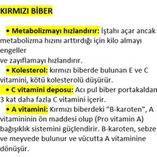 Tuğba Kuruyemiş Toz Kırmızı Biber Tatlı 194 gr