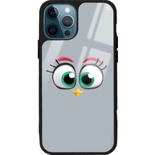 Spoyi Apple iPhone 13 Pro Max Grey Angry Birds Tasarımlı Glossy Telefon Kılıfı