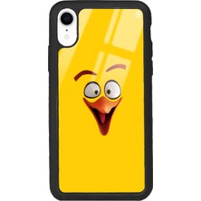 Spoyi Apple iPhone Xr Yellow Angry Birds Tasarımlı Glossy Telefon Kılıfı