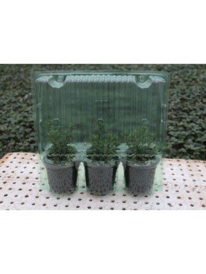 Fide Sepeti Saksı Kargo Taşıma Paketi 100 Adet 3'lü