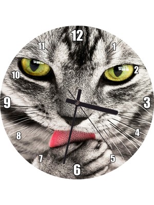 Cakatablo Patilerini Yalayan Kedi Yakın Çekim Duvar Saati (Çap 50X50 cm )