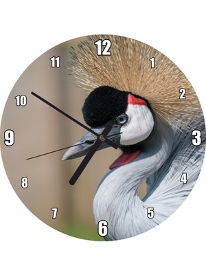 Cakatablo  Gri Taçlı Turna Kuşu Görseli Duvar Saati (Çap 30X30 Cm)