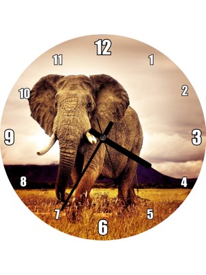 Cakatablo Savana'da Günbatımı ve Erkek Fil Duvar Saati (Çap 30X30 Cm)
