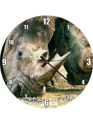 Cakatablo Efsanevi Gergedanlar Yakın Çekim Duvar Saati (Çap 30X30 Cm)