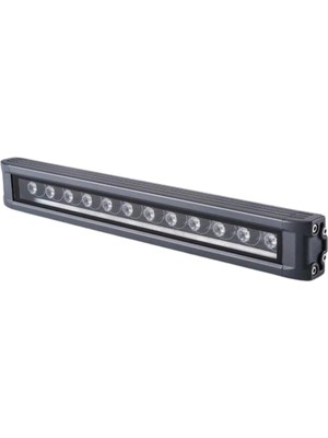 Cata CT-4696 60CM Yeşil Gold Wall Washer Cata