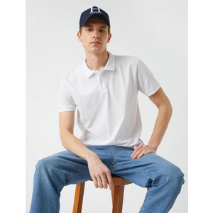Basic Polo Yaka Tişört