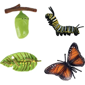 Çocuklar Böcek Döngüsü Şekil Kelebek Nimal Büyüme Modeli Playset Oyuncaklar A (Yurt Dışından)