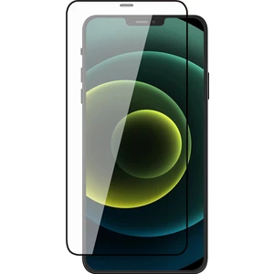 Tam Kaplama Kırılmaz Cam Ekran Koruyucu iPhone 12 Siyah