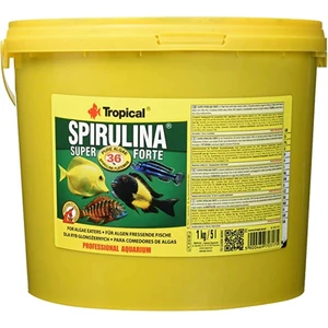 Tropıcal Super Spırulına Forte Flakes 100 Gram