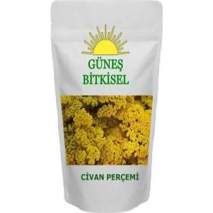 Güneş Bitkisel Organik Civan Perçemi