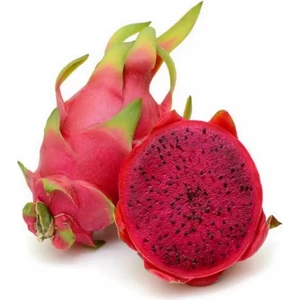 Tohum Dünyam Kırmızı Ejder Meyvesi Tohumu / 5 Adet Pitaya Tohumu