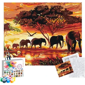Sayılarla Boyama Seti 40 x 50 cm Tuval Şasesine Gerili Filler
