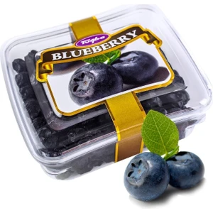 Tuğba Kuruyemiş Blueberry Kurusu 101 gr