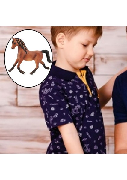 Plastik Hayvan Şekil Oyuncak Yarışması At Heykelcik Heykeli Çocuklar Için 11X9.6 cm Arap Mare Kahverengi (Yurt Dışından) fırsatları