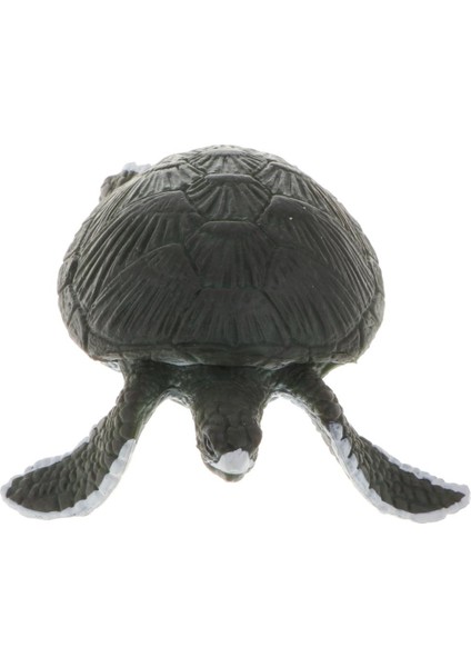 Simülasyon Yabani / Çiftlik Hayvan Şekil Modeli - Turtlet Modeli Action Figure Çocuklar (Yurt Dışından)