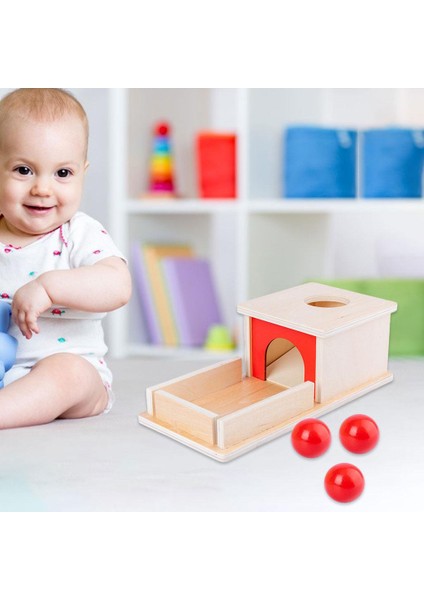 Montessori Bebek Sikke Kutusu Okul Öncesi Öğrenme Malzeme Oyuncakları Hediyeler 3 Topları (Yurt Dışından)