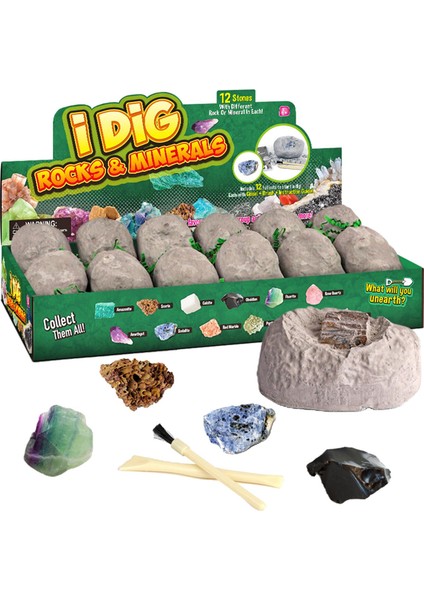 Dino Yumurta Kazma Kiti Fosil Arkeoloji Eğitim Eğlenceli Oyuncaklar Taşlar (Yurt Dışından)