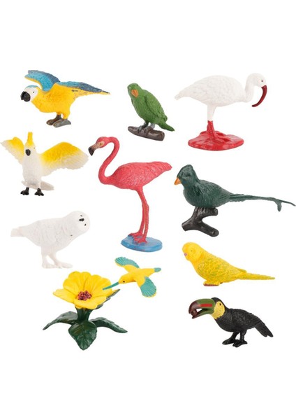 10 Parça Oyuncak Mini Kuş Modeli Set Flamingo Parakeet Simülasyonu Çocuk Hediye Için (Yurt Dışından)