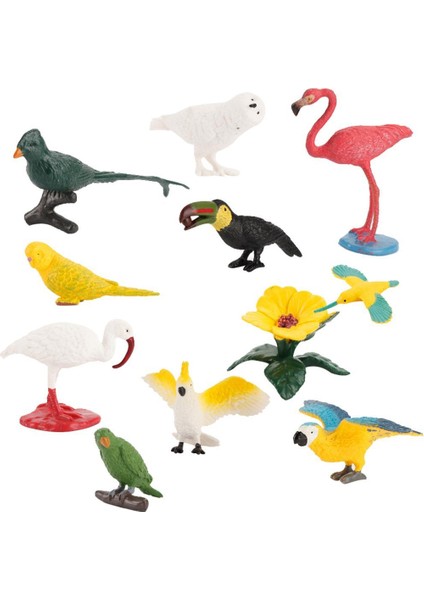 10 Parça Oyuncak Mini Kuş Modeli Set Flamingo Parakeet Simülasyonu Çocuk Hediye Için (Yurt Dışından)