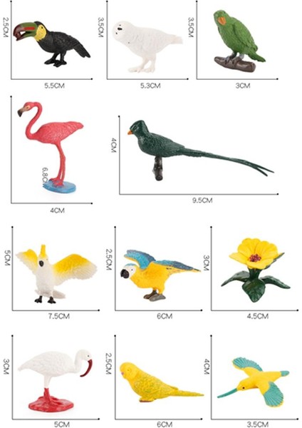 10 Parça Oyuncak Mini Kuş Modeli Set Flamingo Parakeet Simülasyonu Çocuk Hediye Için (Yurt Dışından)
