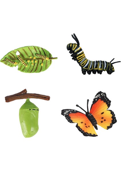 Çocuklar Böcek Yaşam Döngüsü Kelebek Büyüme Playset Hayal Gibi Iogy Oyuncaklar B (Yurt Dışından) fiyatları