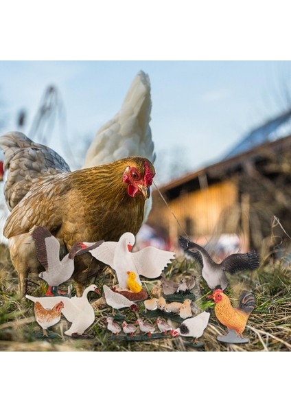 11 Adet Tavuk Fowl Ördek Kaz Horoz Seti Ekran Sahne Bebekler Için Playset (Yurt Dışından)