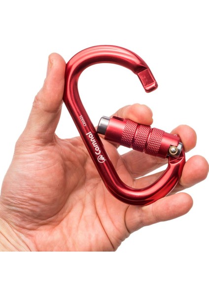 5 Adet Kaya Tırmanışı Karabina Alüminyum D Tipi Otomatik Kilitleme Kapısı Donanım 25KN Çok Renkli (Yurt Dışından) fırsatları