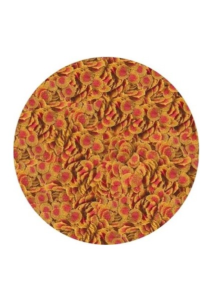 Pro Color 100 Gram
