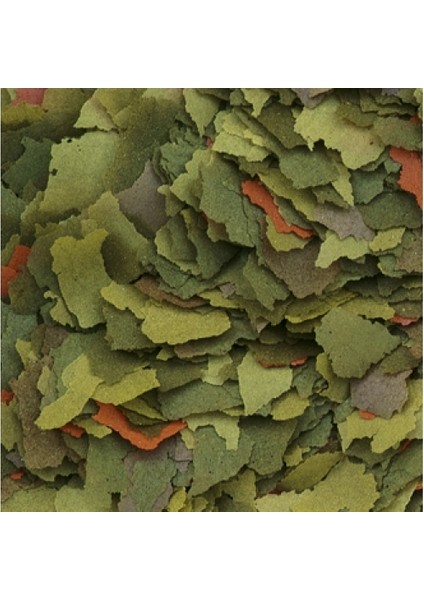 Tropıcal Malawi Flakes 50 Gram