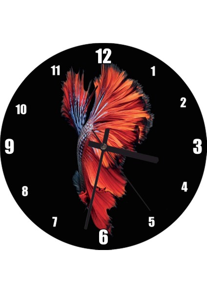 Cakatablo Siyah Arkaplan Beta ve Rengarenk Kuyruğu Duvar Saati (Çap 30X30 Cm)