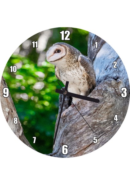 Cakatablo Ağaç Gövdesinde Kar Baykuşu Duvar Saati (Çap 50X50 cm )