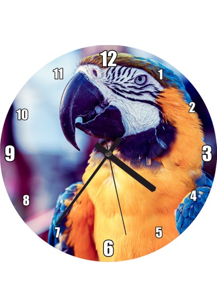 Cakatablo Mavi Sarı Beyaz Papağan Duvar Saati (Çap 30X30 Cm)