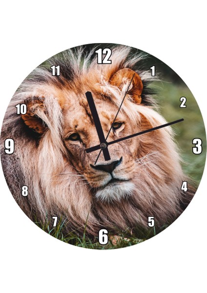 Cakatablo Çayırdaki Yorgun Aslan Kral Duvar Saati (Çap 50X50 cm )