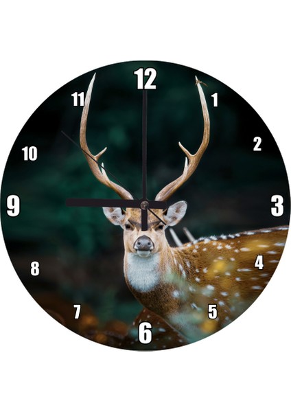 Cakatablo Geyik Boynuzlarının Simetrisi Duvar Saati (Çap 30X30 Cm)