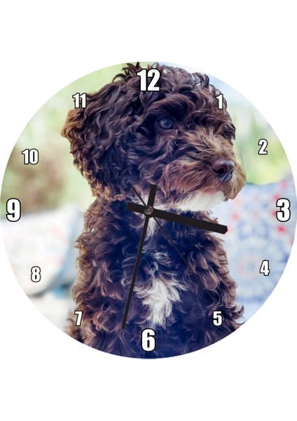 Cakatablo Siyah Beyaz Kıvırcık Tüylü Terrier Duvar Saati (Çap 50X50 cm )