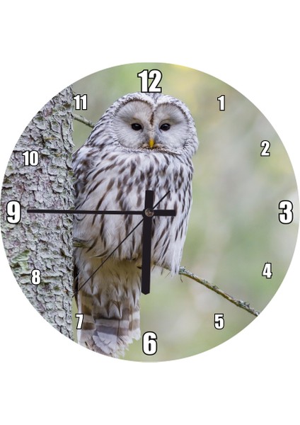 Cakatablo Gri Ağaçtaki Gri Baykuş Duvar Saati (Çap 30X30 Cm)