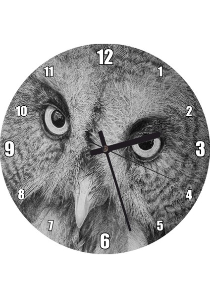 Cakatablo Gri Baykuş Yüz Yakın Çekim Görseli Duvar Saati (Çap 50X50 cm )