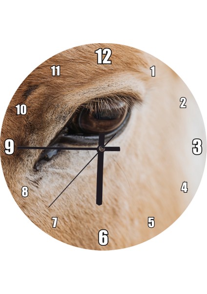 Cakatablo Kahverengi Eşek ve Gözü Yakın Plan Duvar Saati (Çap 50X50 cm )